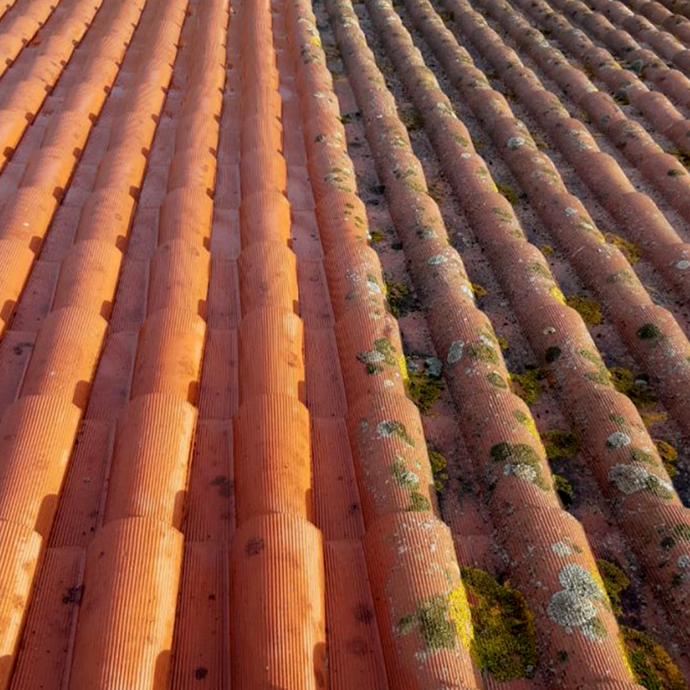 demoussage-et-nettoyage-tuiles-toiture-montauban